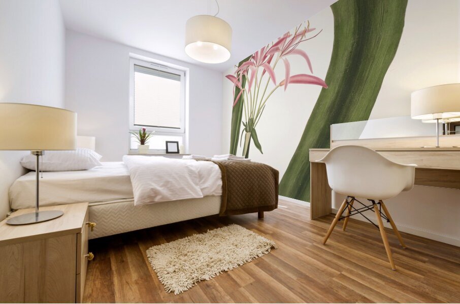 Crinum Cruentum 1834 Mural print