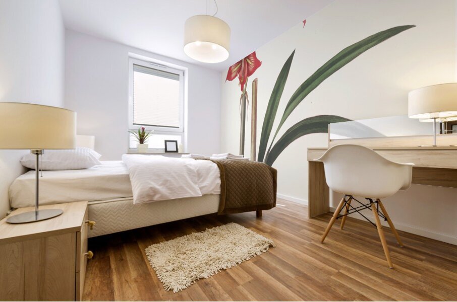 Amaryllis Correiensis. 1834 Mural print