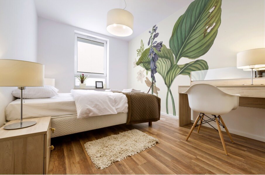 Hemerecalliscarulea Hemerecallis Japonica 1834 Mural print