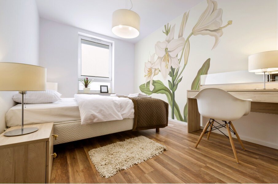 Lilium Candidum 1834 Mural print