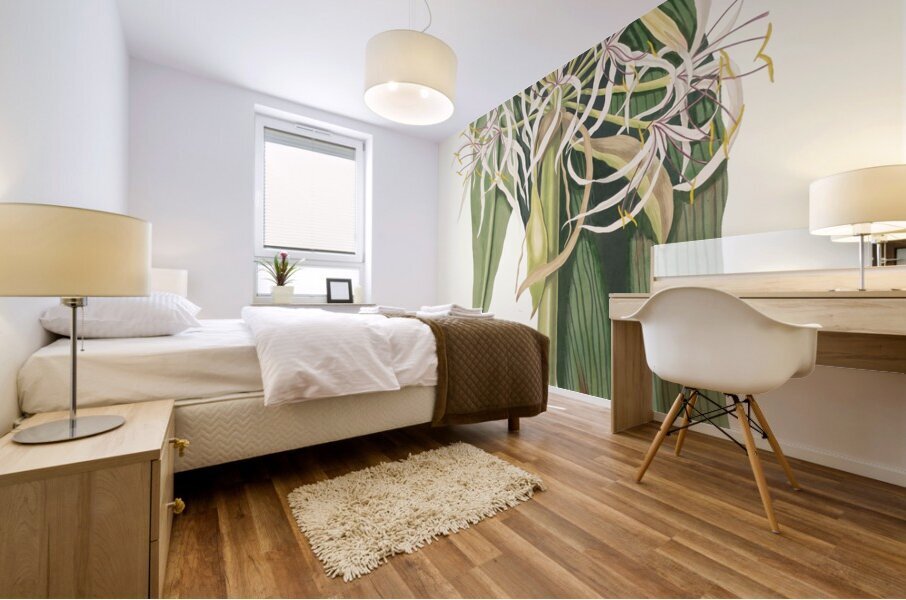 Crinum Declinatum 1834 Mural print