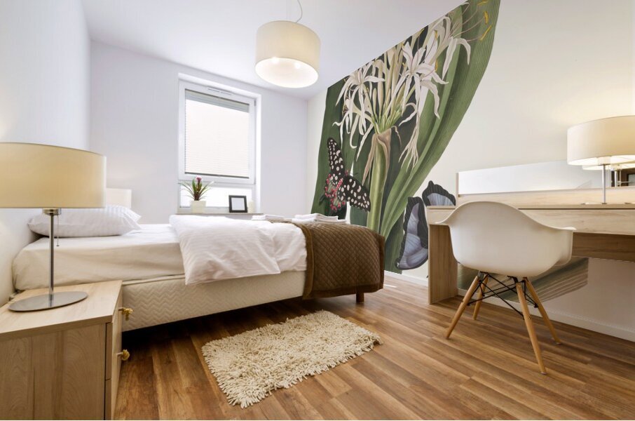 Crinum Pedunculatum. [River Lily] 1834 Mural print