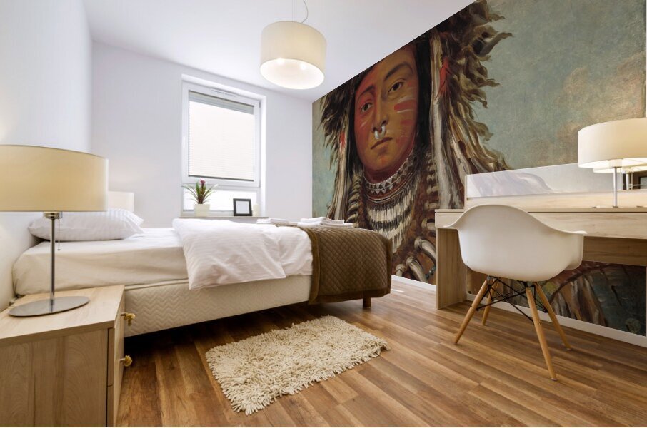 Boy Chief – Ojibbeway 1843 Mural print