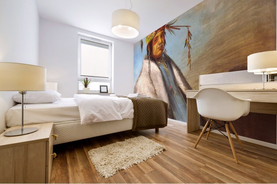 Non-on-dá-gon a Chief 1830 Mural print