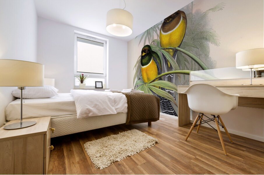 John Gould trogons 006 Mural print