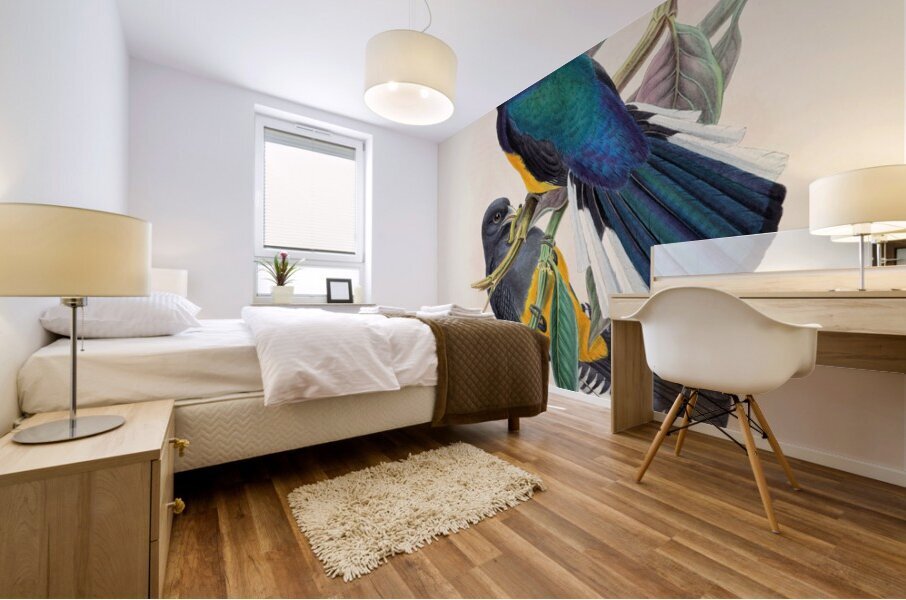 John Gould trogons 030 Mural print