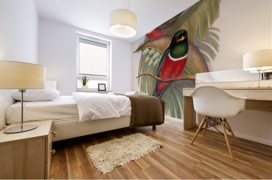 John Gould trogons 005 Mural print