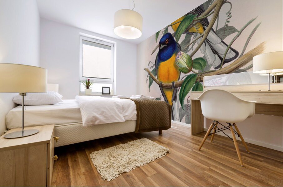 John Gould trogons 018 Mural print