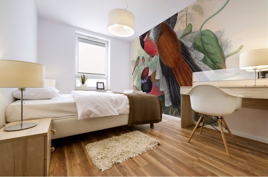 John Gould trogons 034 Mural print