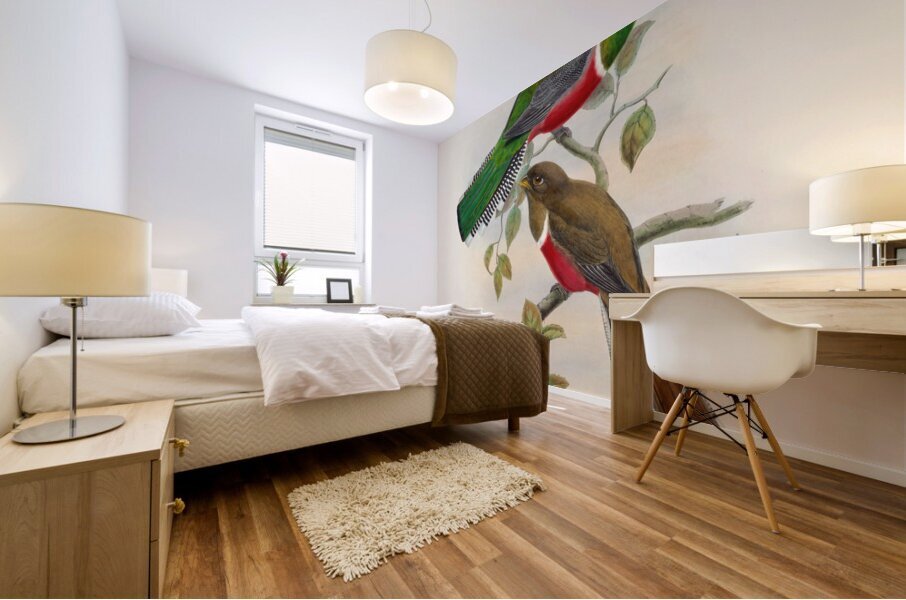 John Gould trogons 041 Mural print