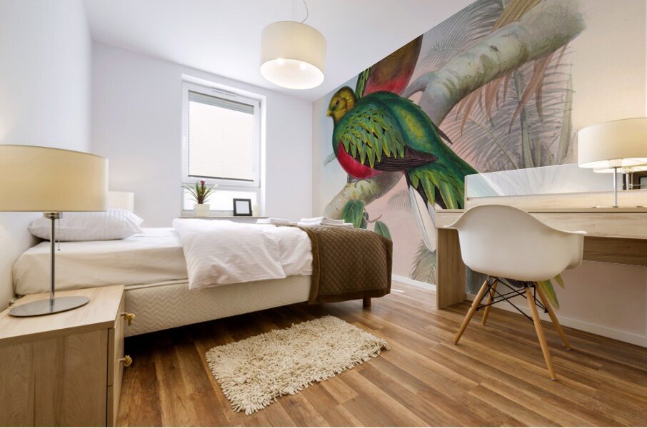 John Gould trogons 002 Mural print