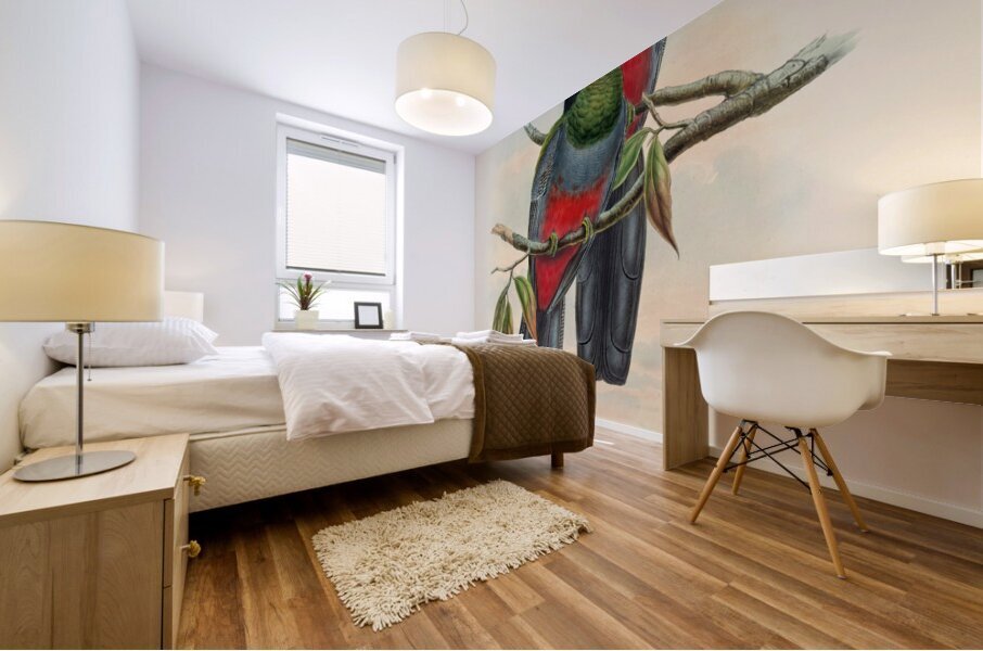 John Gould trogons 044 Mural print