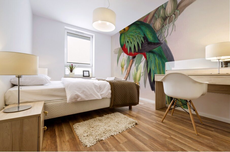 John Gould trogons 003 Mural print