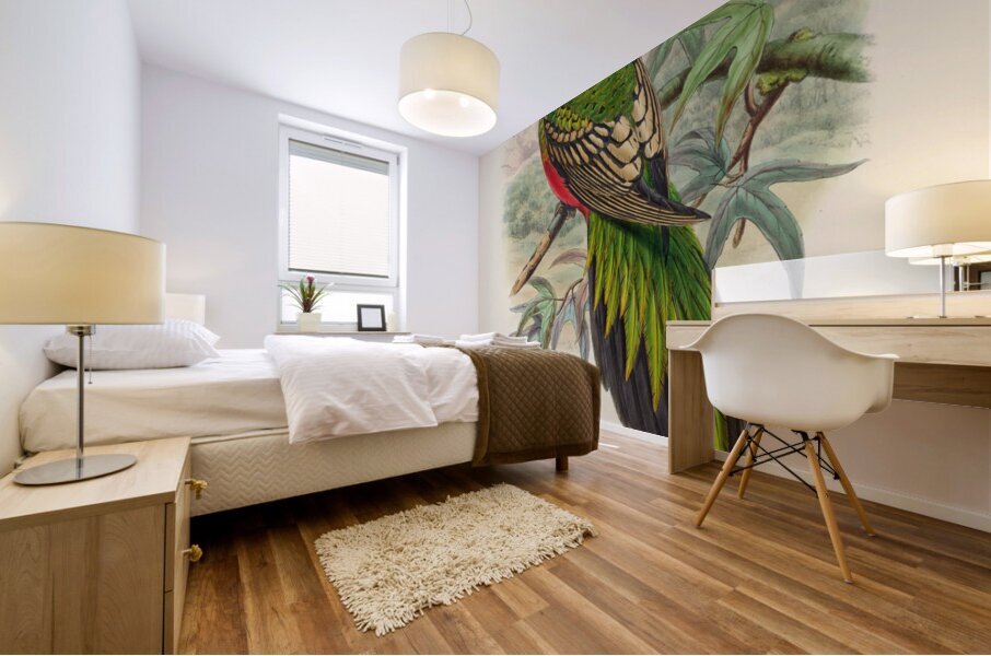 John Gould trogons 038 Mural print