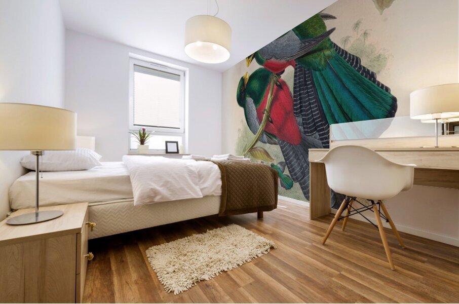 John Gould trogons 029 Mural print