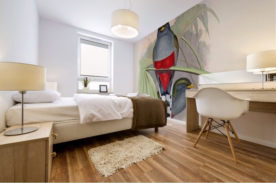 John Gould trogons 010 Mural print