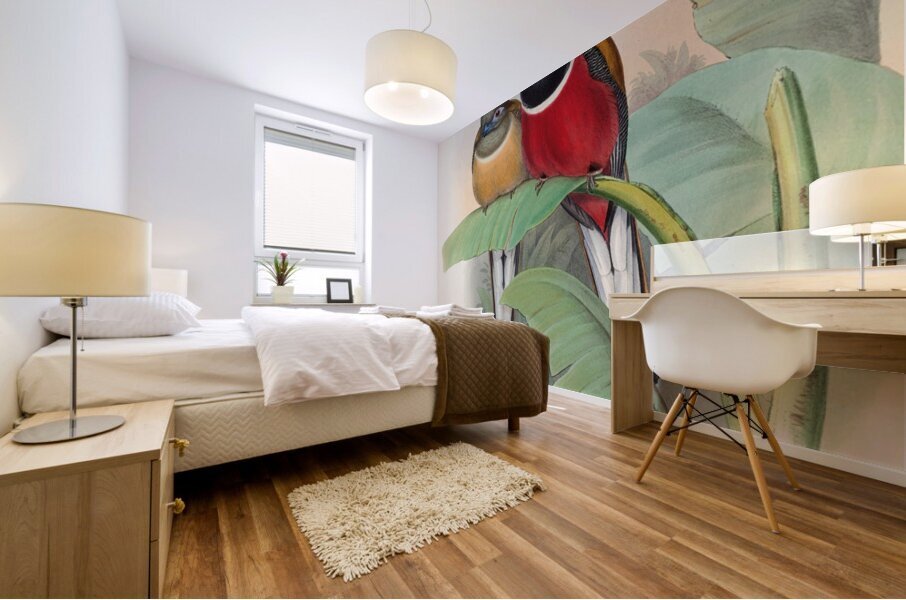 John Gould trogons 023 Mural print