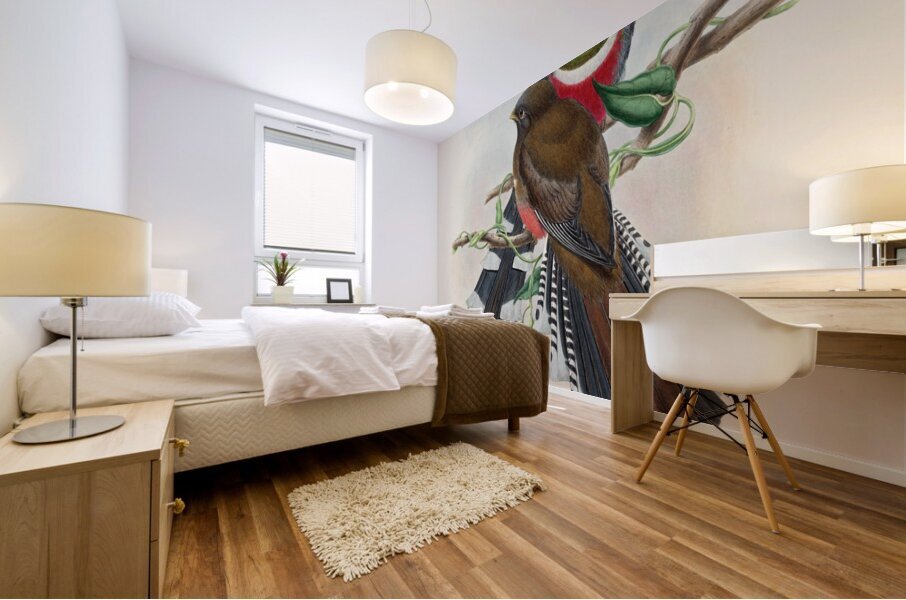 John Gould trogons 028 Mural print