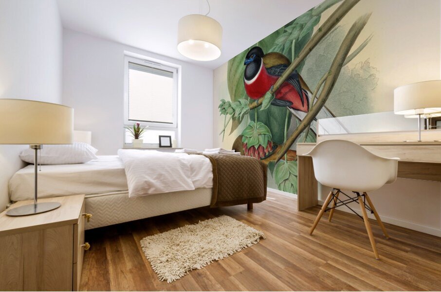John Gould trogons 035 Mural print
