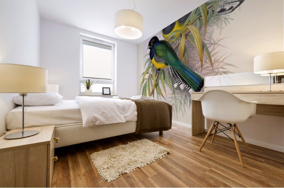 John Gould trogons 009 Mural print