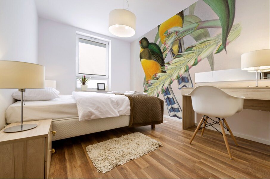 John Gould trogons 025 Mural print