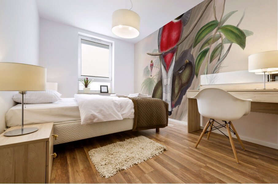 John Gould trogons 011 Mural print