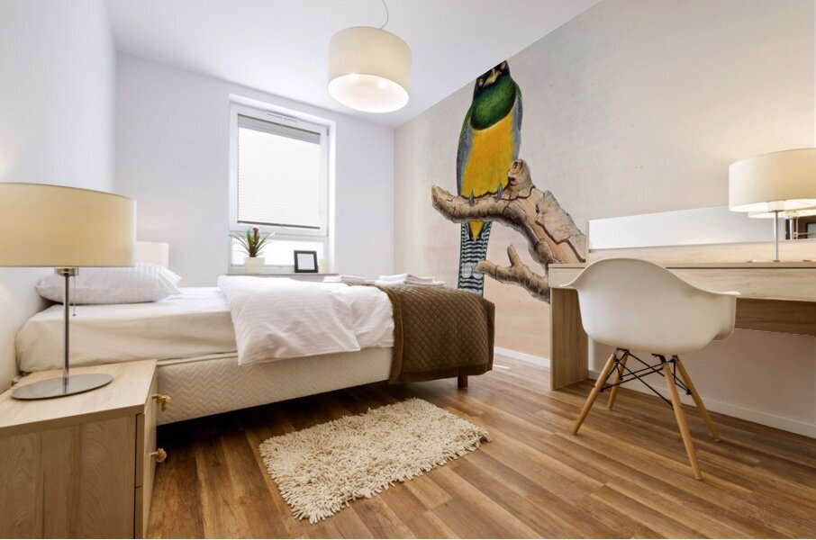 John Gould trogons 039 Mural print