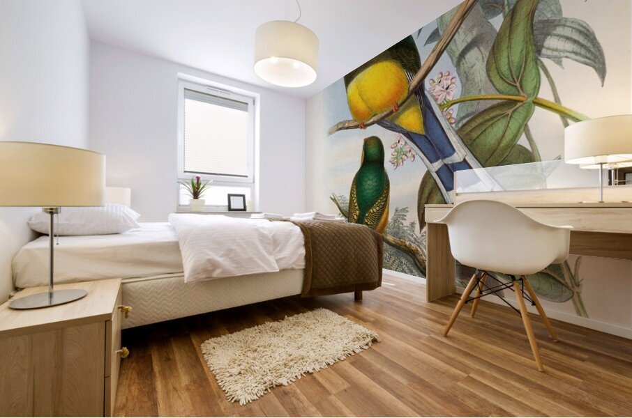 John Gould trogons 024 Mural print