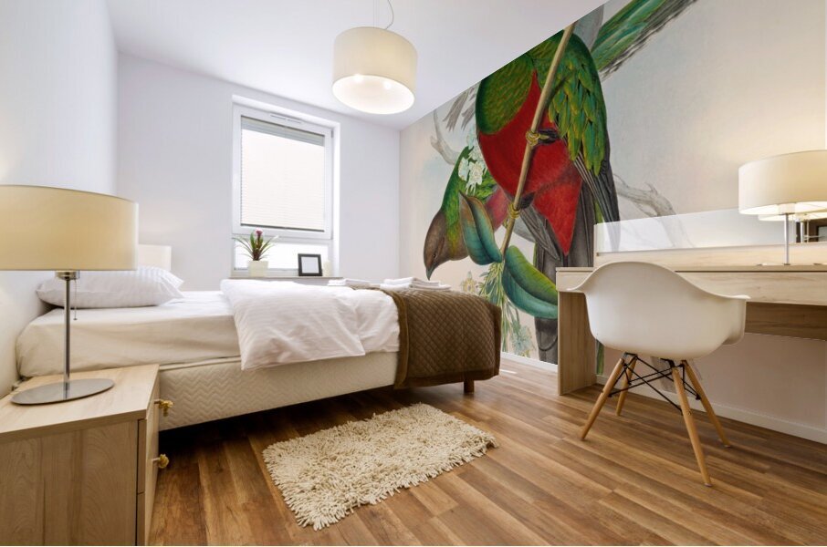 John Gould trogons 014 Mural print