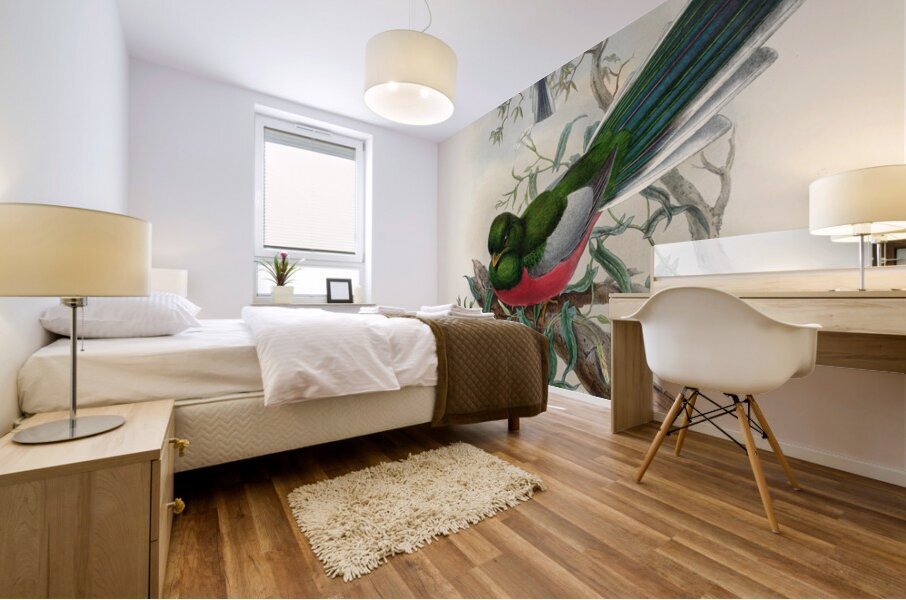 John Gould trogons 037 Impression murale