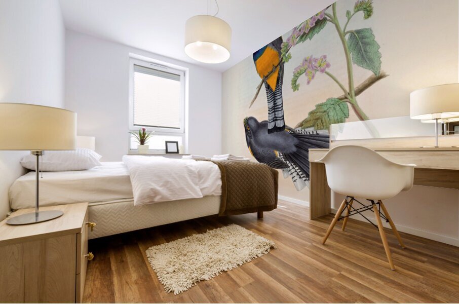 John Gould trogons 046 Mural print