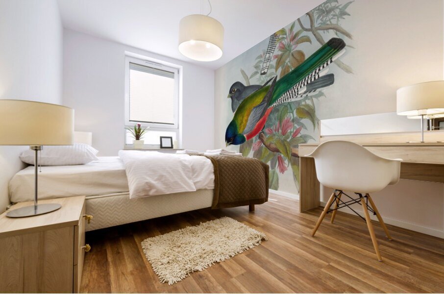 John Gould trogons 043 Mural print