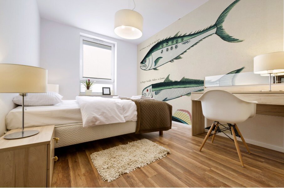 Colourful and surreal illustrations of fishes found in Moluccas Indonesia and the East Indies by Louis Renard 1678 -1746 from Histoire naturelle des plus rares curiositez de la mer des Indes 1754. Mural print