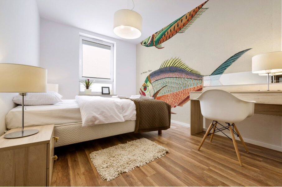 Colourful and surreal illustrations of fishes found in Moluccas Indonesia and the East Indies by Louis Renard 1678 -1746 from Histoire naturelle des plus rares curiositez de la mer des Indes 1754. Mural print