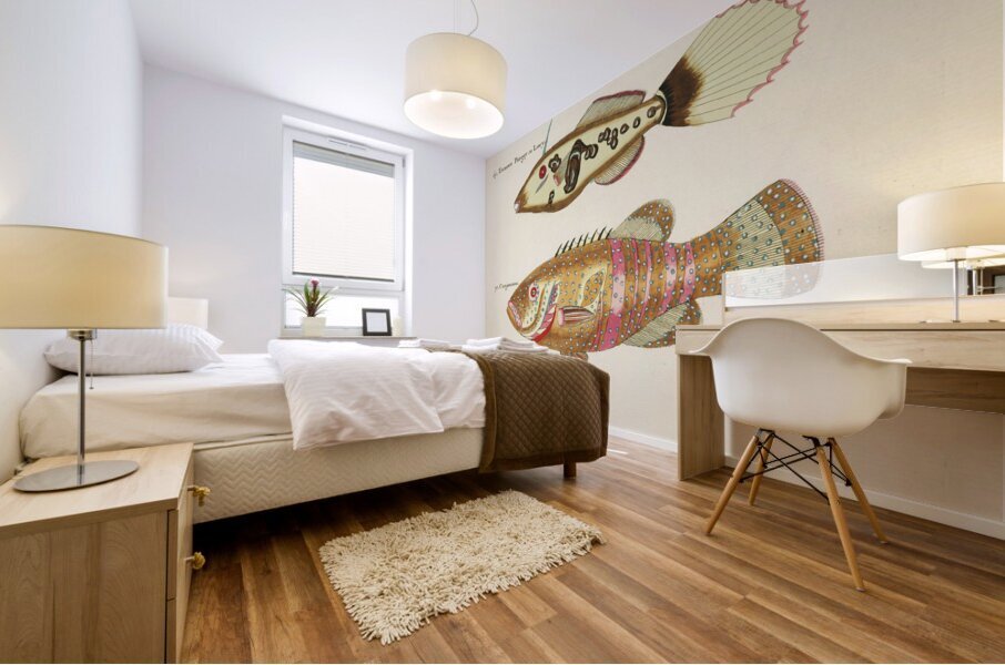 Colourful and surreal illustrations of fishes and sea horse found in Moluccas Indonesia and the East Indies by Louis Renard 1678 -1746 from Histoire naturelle des plus rares curiositez de la mer des Indes 1754. Impression murale