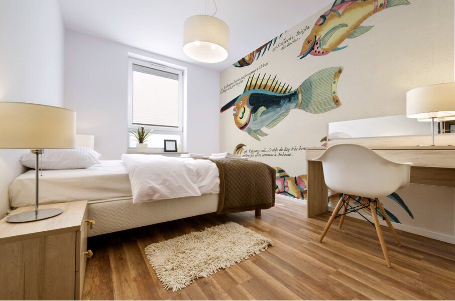 Colourful and surreal illustrations of fishes lobster and crab found in the Indian and Pacific Oceans by Louis Renard 1678 -1746 from Histoire naturelle des plus rares curiositez de la mer des Indes 1754. Mural print