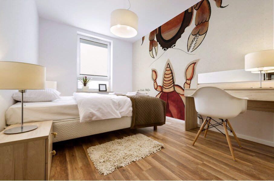 Colourful and surreal illustrations of crabs found in Moluccas Indonesia and the East Indies by Louis Renard 1678 -1746 from Histoire naturelle des plus rares curiositez de la mer des Indes 1754. Mural print