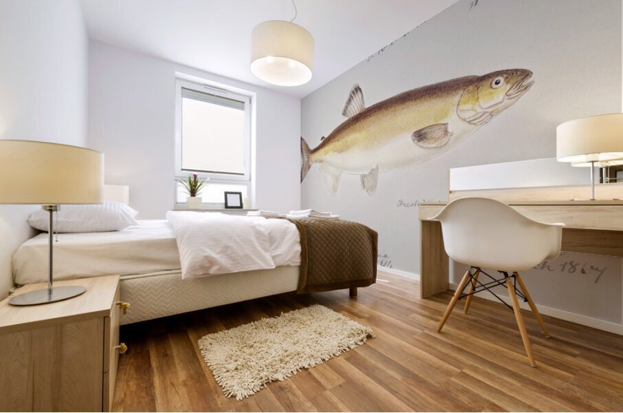 Antique fish prototroctes maraena australian grayling South Pacific Fishes by Frank Edward Clarke 1849-1899.  Mural print