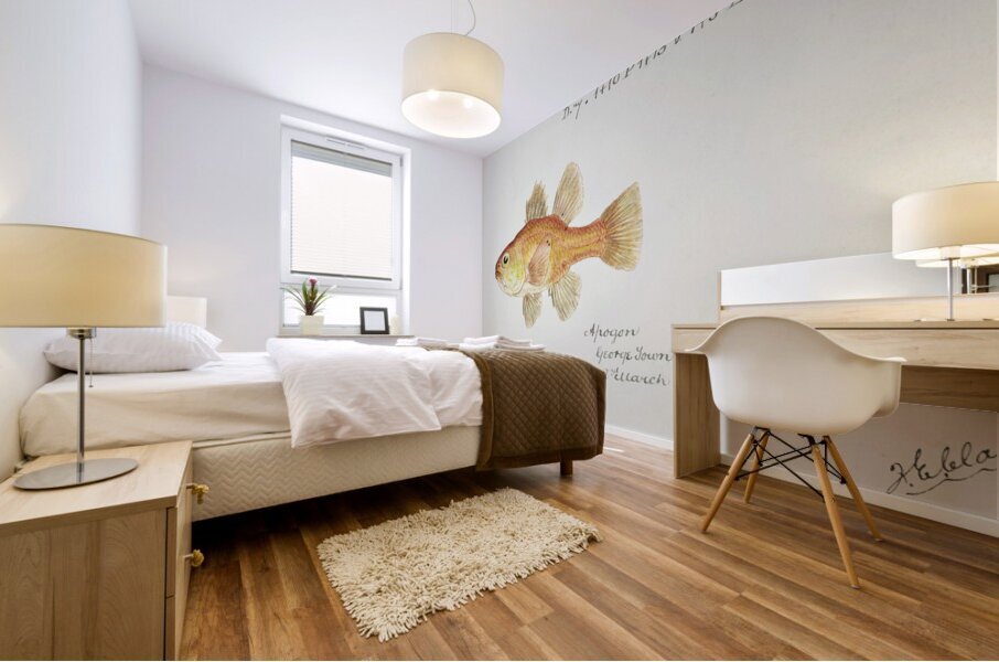 Antique fish vincentia conspera southern cardinalfish South Pacific Fishes by Frank Edward Clarke 1849-1899.  Mural print