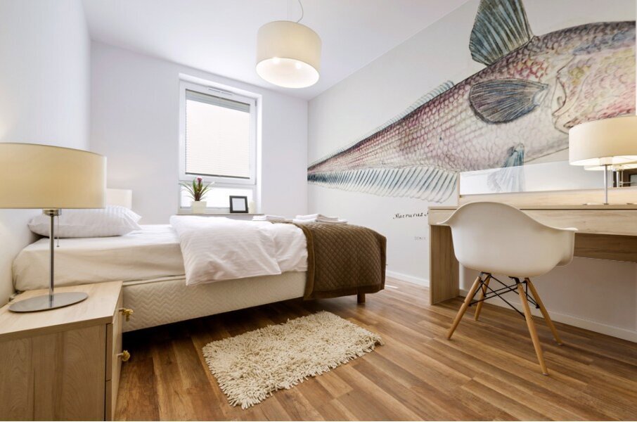 Antique fish Coelorinchus sp NZ : Rattail South Pacific Fishes by Frank Edward Clarke 1849-1899.  Mural print