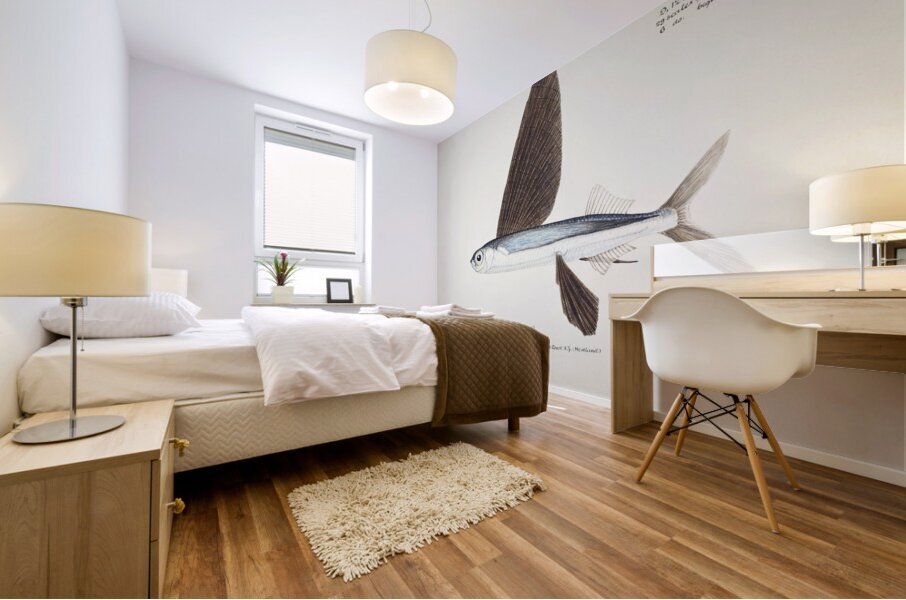 Antique Flyfish South Pacific Fishes by Frank Edward Clarke 1849-1899.  Mural print