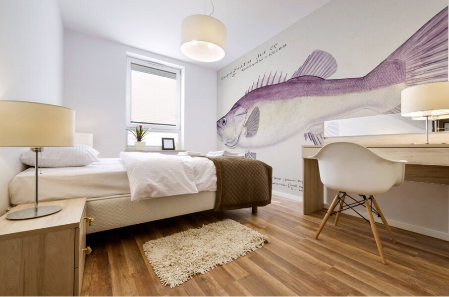 Antique fish Groper South Pacific Fishes by Frank Edward Clarke 1849-1899.  Mural print