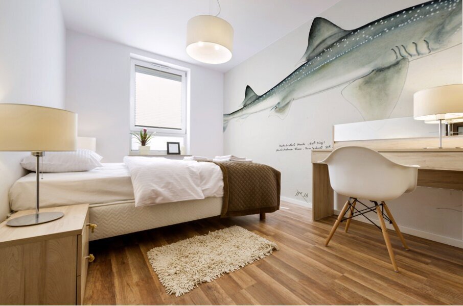 Antique fish Mustelus Antarcticus shark South Pacific Fishes by Frank Edward Clarke 1849-1899.  Mural print