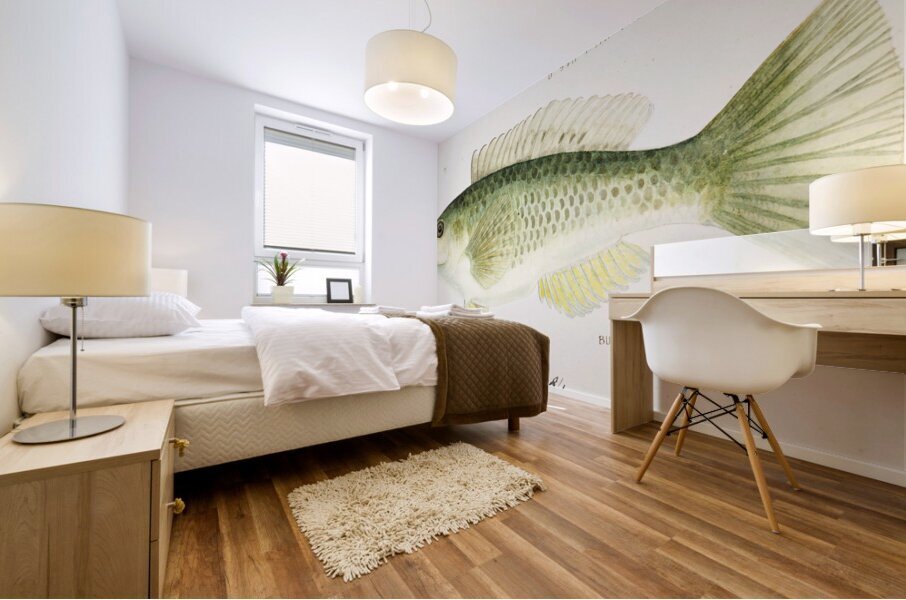 Antique fish Wrasse South Pacific Fishes by Frank Edward Clarke 1849-1899.  Mural print