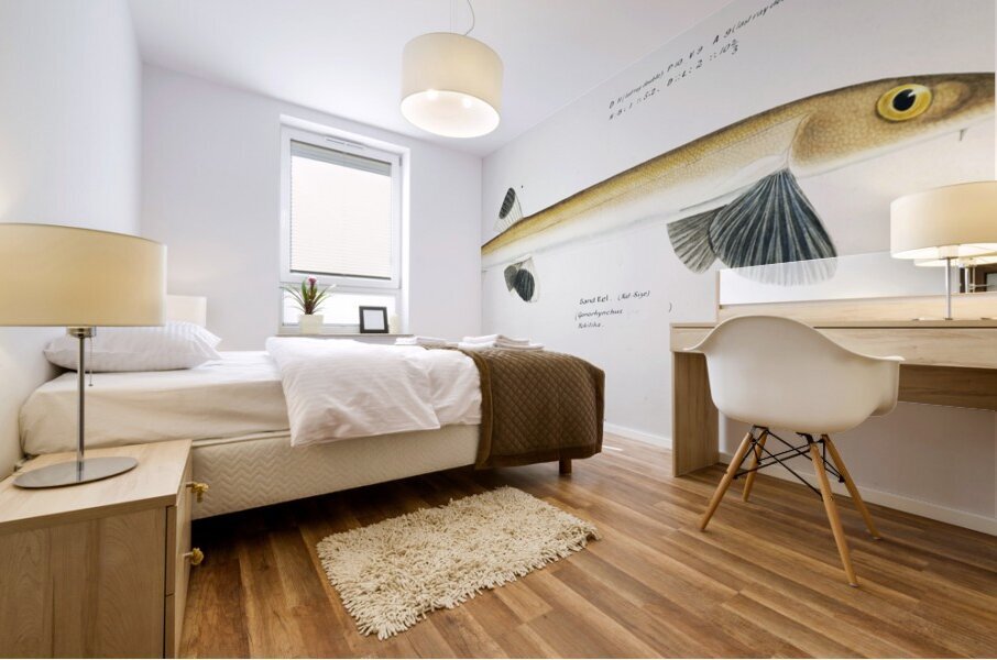 Antique fish gonorynchus fosteri sand fish South Pacific Fishes by Frank Edward Clarke 1849-1899.  Mural print