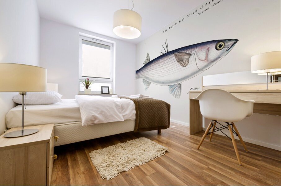 Antique fish Flathead grey mullet South Pacific Fishes by Frank Edward Clarke 1849-1899.  Mural print