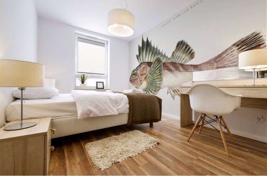 Antique fish neosebastes scorpaenoides ruddy gurnard perch South Pacific Fishes by Frank Edward Clarke 1849-1899.  Mural print