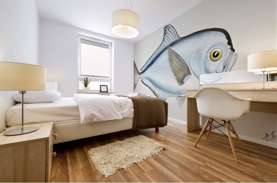 Antique fish Brama brama NZ - Ray’s Bream South Pacific Fishes by Frank Edward Clarke 1849-1899.  Mural print