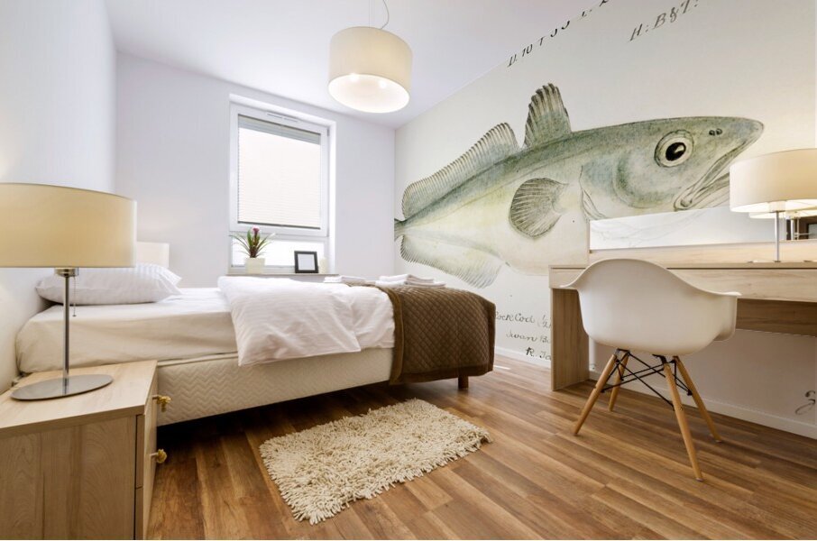 Antique fish Pseudophycis barbata Tas : Southern Bastard Red Cod South Pacific Fishes by Frank Edward Clarke 1849-1899.  Mural print