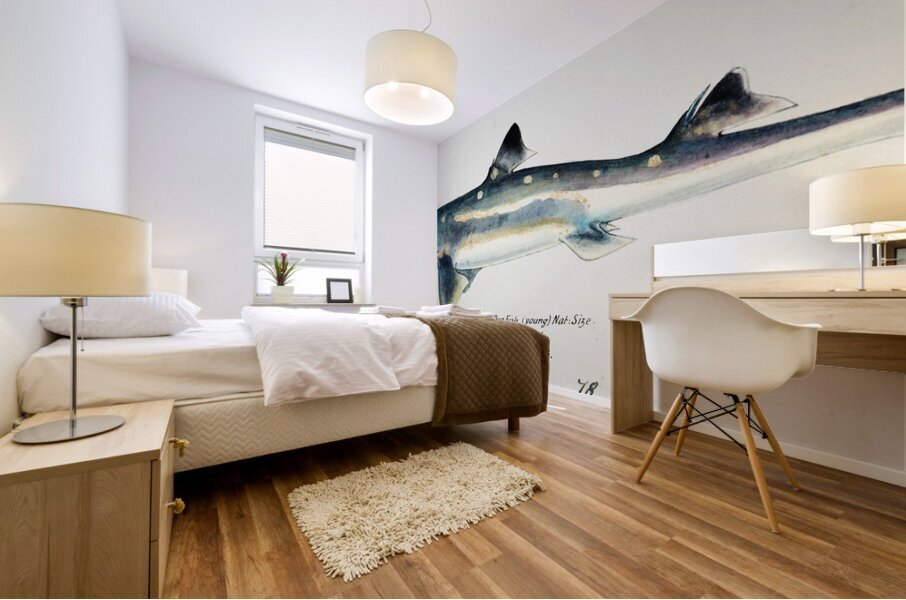 Antique fish Squalus acanthias NZ : Spotted spiny dogfish South Pacific Fishes by Frank Edward Clarke 1849-1899.  Mural print